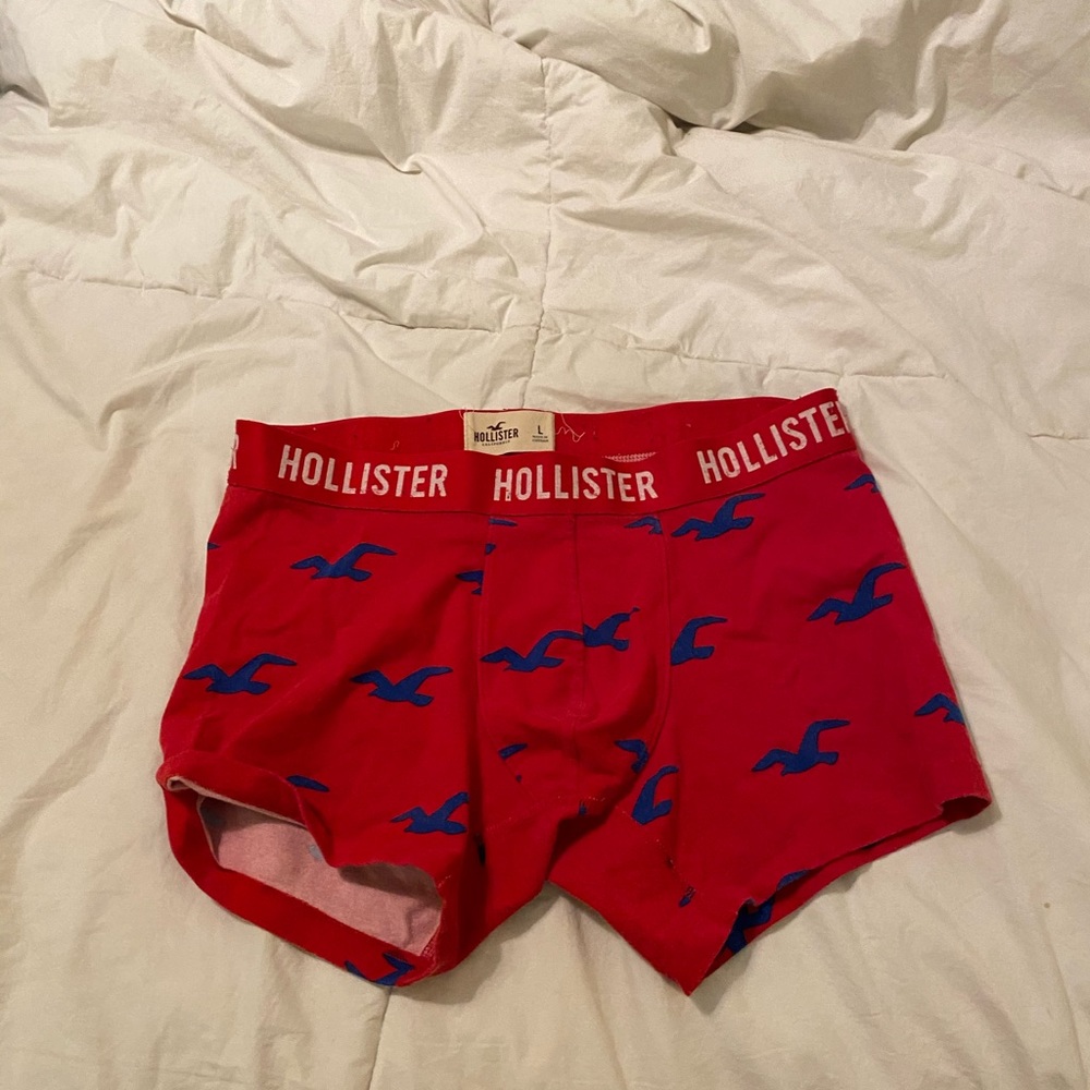 Hollister briefs